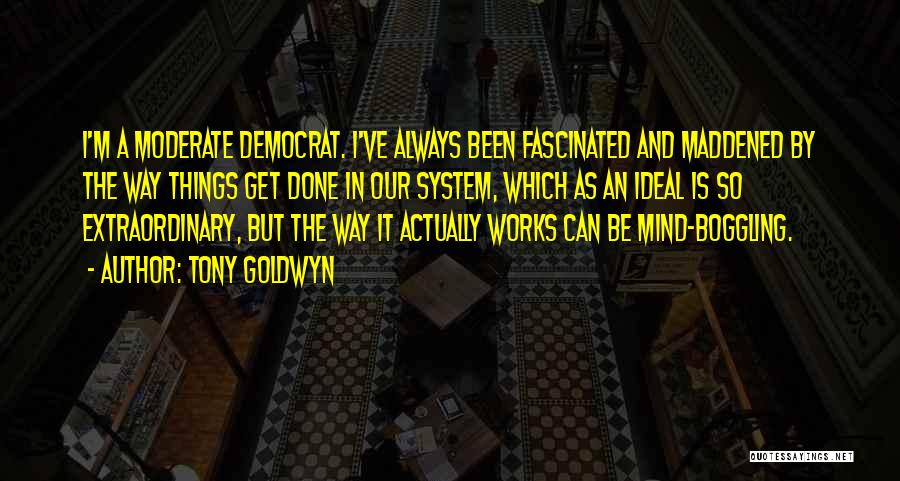 Tony Goldwyn Quotes: I'm A Moderate Democrat. I've Always Been Fascinated And Maddened By The Way Things Get Done In Our System, Which