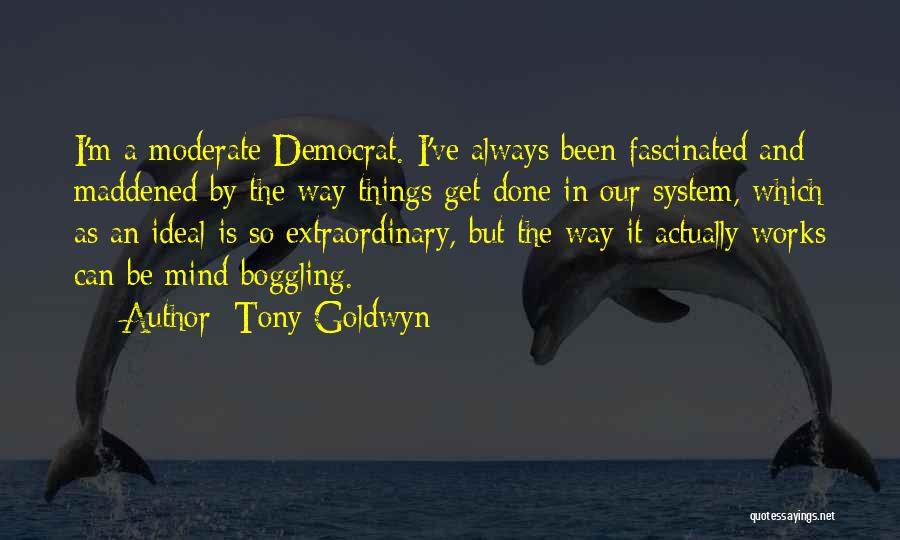 Tony Goldwyn Quotes: I'm A Moderate Democrat. I've Always Been Fascinated And Maddened By The Way Things Get Done In Our System, Which