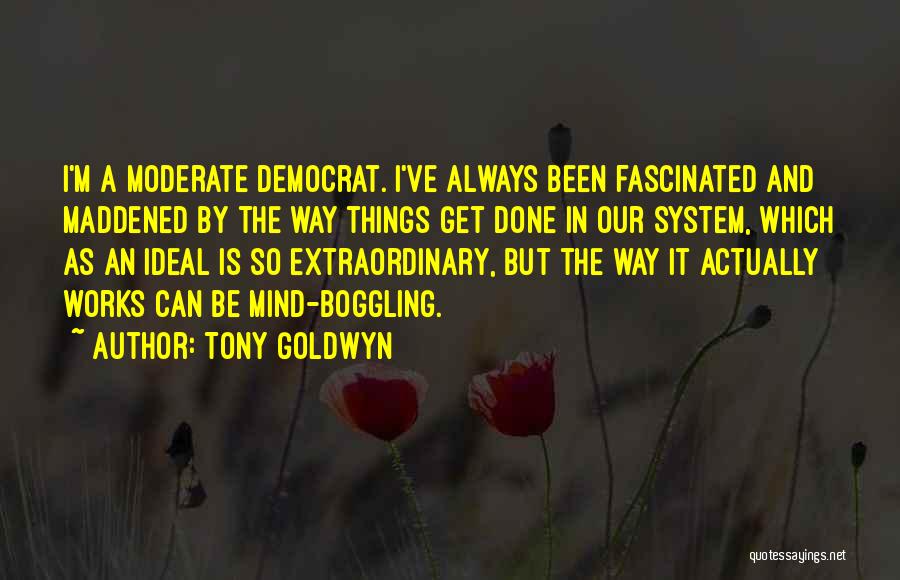 Tony Goldwyn Quotes: I'm A Moderate Democrat. I've Always Been Fascinated And Maddened By The Way Things Get Done In Our System, Which