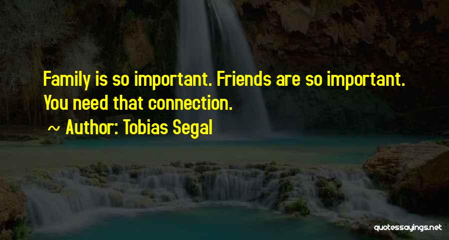 Tobias Segal Quotes: Family Is So Important. Friends Are So Important. You Need That Connection.