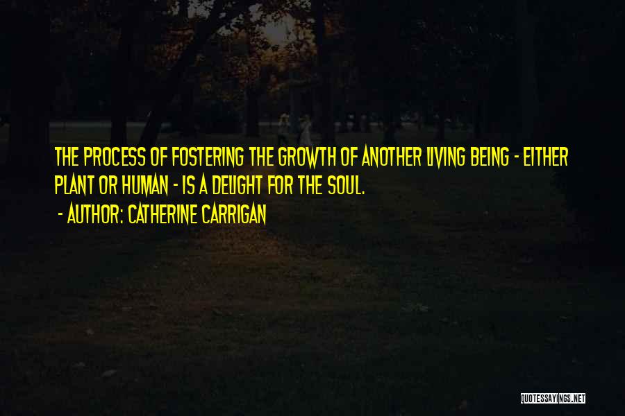 Catherine Carrigan Quotes: The Process Of Fostering The Growth Of Another Living Being - Either Plant Or Human - Is A Delight For