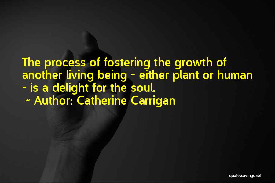 Catherine Carrigan Quotes: The Process Of Fostering The Growth Of Another Living Being - Either Plant Or Human - Is A Delight For