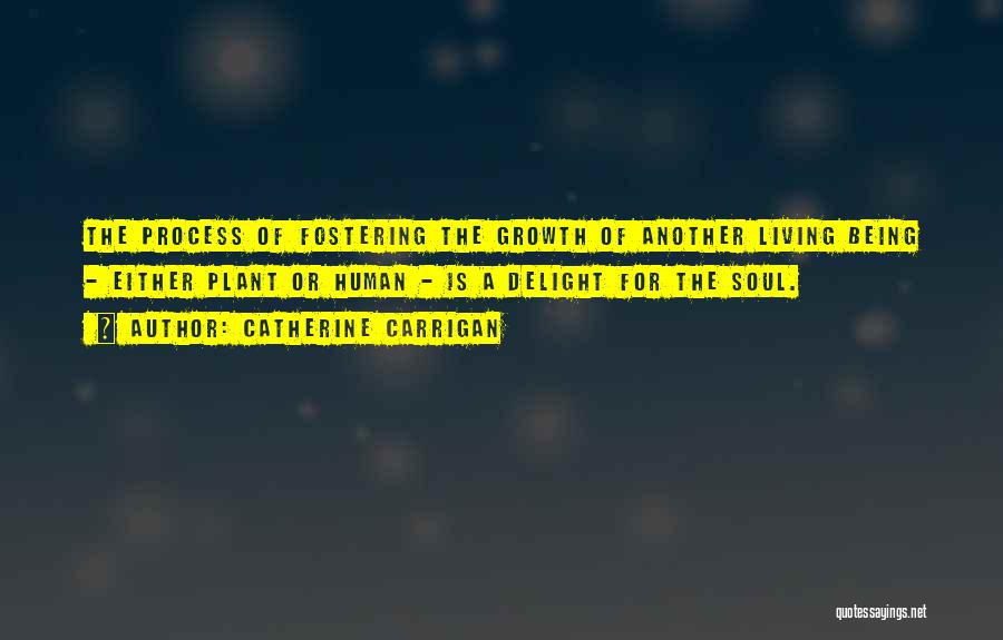Catherine Carrigan Quotes: The Process Of Fostering The Growth Of Another Living Being - Either Plant Or Human - Is A Delight For