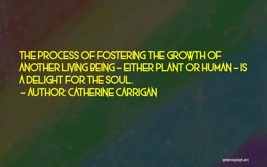 Catherine Carrigan Quotes: The Process Of Fostering The Growth Of Another Living Being - Either Plant Or Human - Is A Delight For