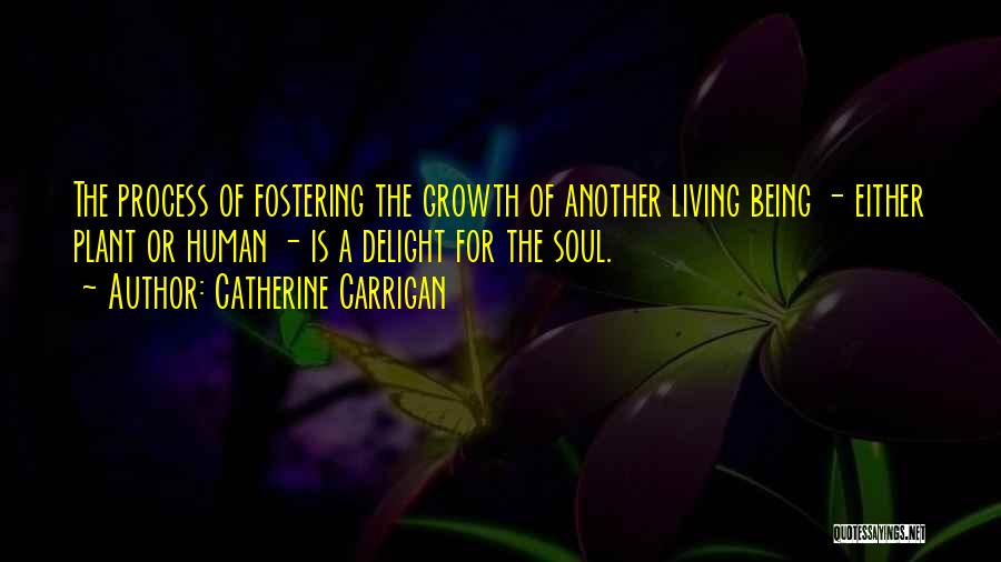 Catherine Carrigan Quotes: The Process Of Fostering The Growth Of Another Living Being - Either Plant Or Human - Is A Delight For