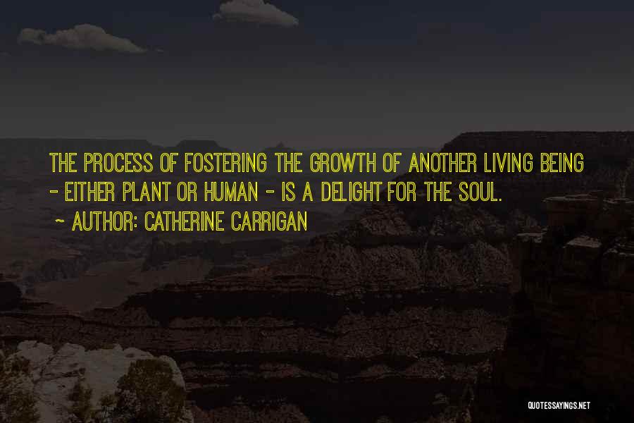 Catherine Carrigan Quotes: The Process Of Fostering The Growth Of Another Living Being - Either Plant Or Human - Is A Delight For