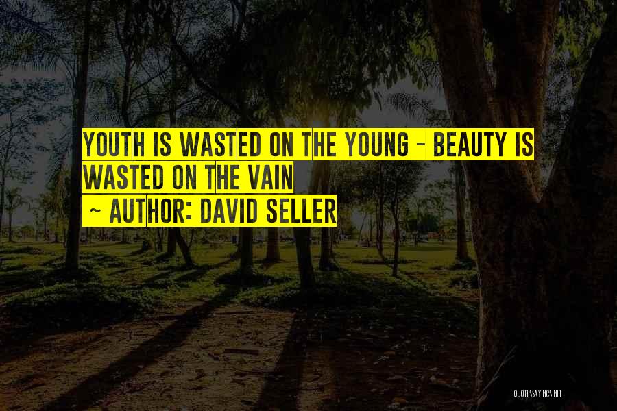 David Seller Quotes: Youth Is Wasted On The Young - Beauty Is Wasted On The Vain