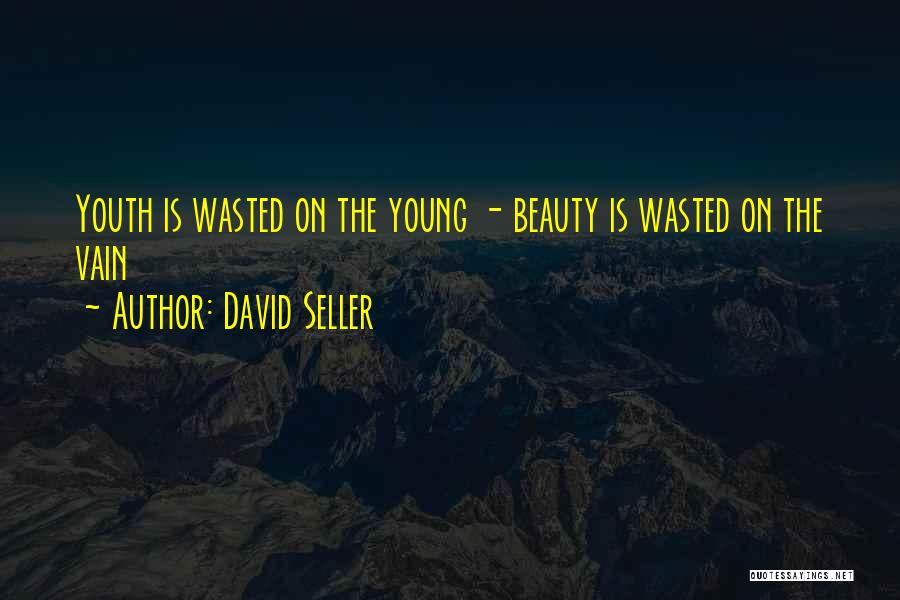 David Seller Quotes: Youth Is Wasted On The Young - Beauty Is Wasted On The Vain