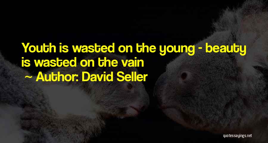 David Seller Quotes: Youth Is Wasted On The Young - Beauty Is Wasted On The Vain