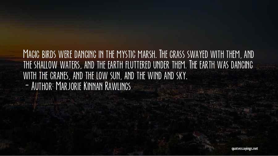 Marjorie Kinnan Rawlings Quotes: Magic Birds Were Dancing In The Mystic Marsh. The Grass Swayed With Them, And The Shallow Waters, And The Earth