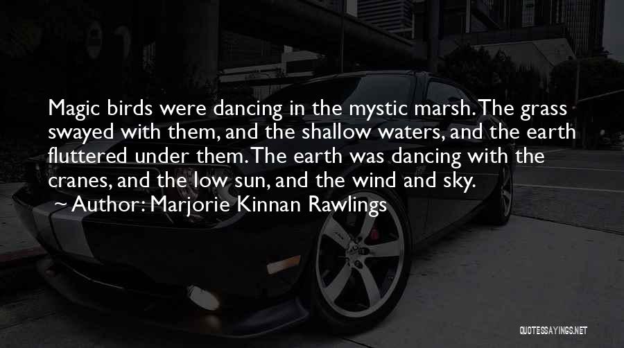 Marjorie Kinnan Rawlings Quotes: Magic Birds Were Dancing In The Mystic Marsh. The Grass Swayed With Them, And The Shallow Waters, And The Earth