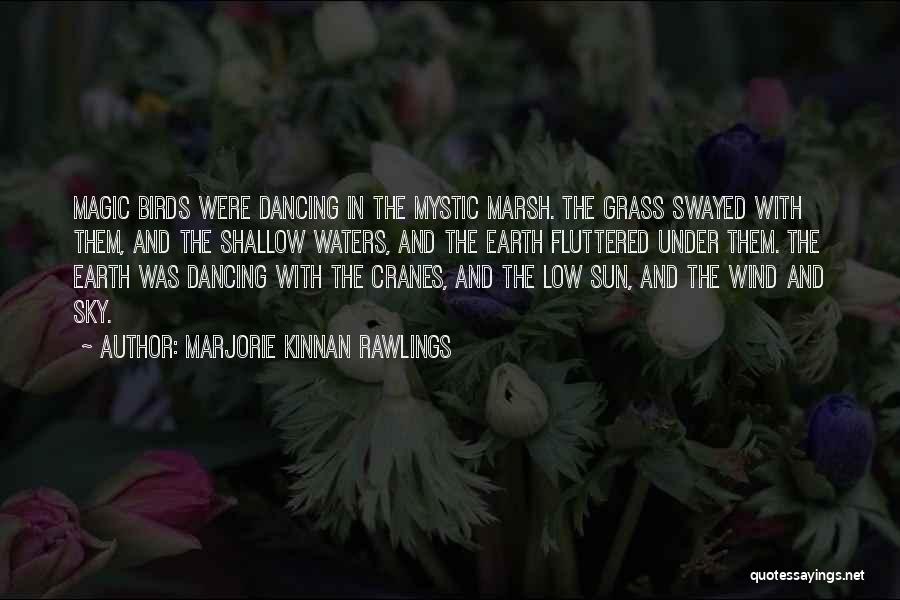 Marjorie Kinnan Rawlings Quotes: Magic Birds Were Dancing In The Mystic Marsh. The Grass Swayed With Them, And The Shallow Waters, And The Earth