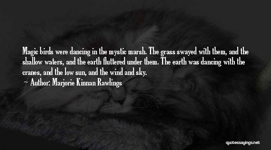 Marjorie Kinnan Rawlings Quotes: Magic Birds Were Dancing In The Mystic Marsh. The Grass Swayed With Them, And The Shallow Waters, And The Earth