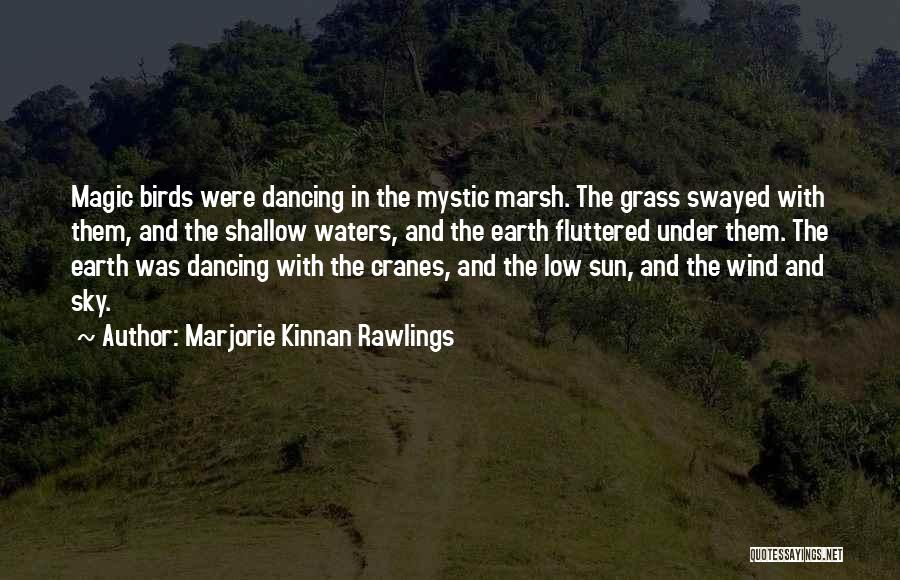 Marjorie Kinnan Rawlings Quotes: Magic Birds Were Dancing In The Mystic Marsh. The Grass Swayed With Them, And The Shallow Waters, And The Earth