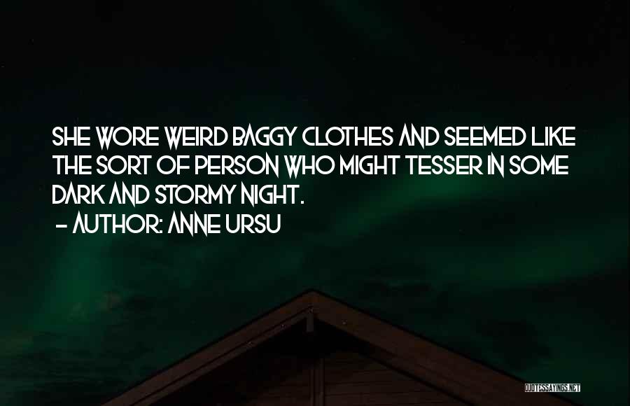 Anne Ursu Quotes: She Wore Weird Baggy Clothes And Seemed Like The Sort Of Person Who Might Tesser In Some Dark And Stormy