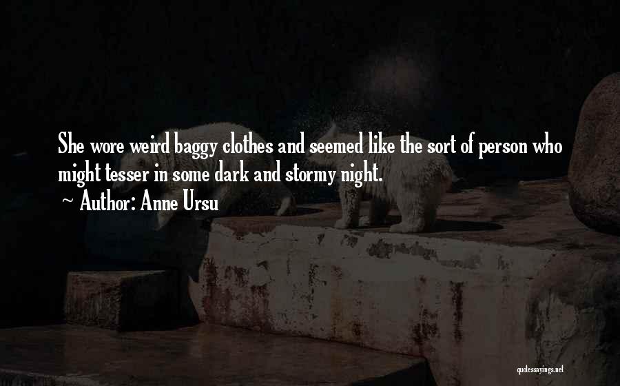 Anne Ursu Quotes: She Wore Weird Baggy Clothes And Seemed Like The Sort Of Person Who Might Tesser In Some Dark And Stormy