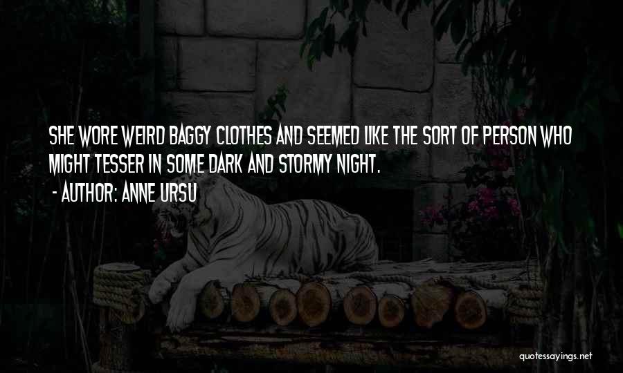 Anne Ursu Quotes: She Wore Weird Baggy Clothes And Seemed Like The Sort Of Person Who Might Tesser In Some Dark And Stormy