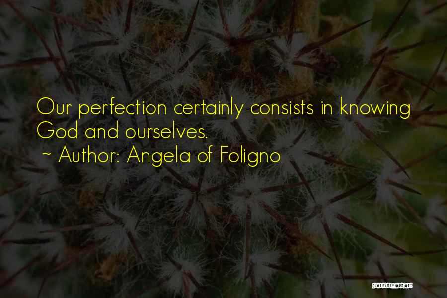 Angela Of Foligno Quotes: Our Perfection Certainly Consists In Knowing God And Ourselves.