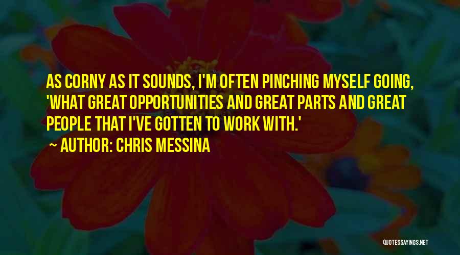 Chris Messina Quotes: As Corny As It Sounds, I'm Often Pinching Myself Going, 'what Great Opportunities And Great Parts And Great People That