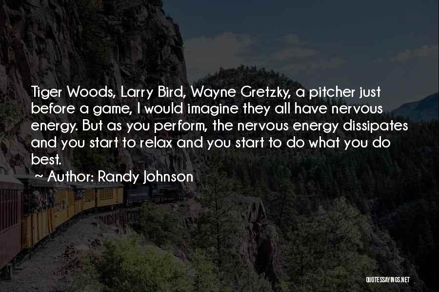 Randy Johnson Quotes: Tiger Woods, Larry Bird, Wayne Gretzky, A Pitcher Just Before A Game, I Would Imagine They All Have Nervous Energy.