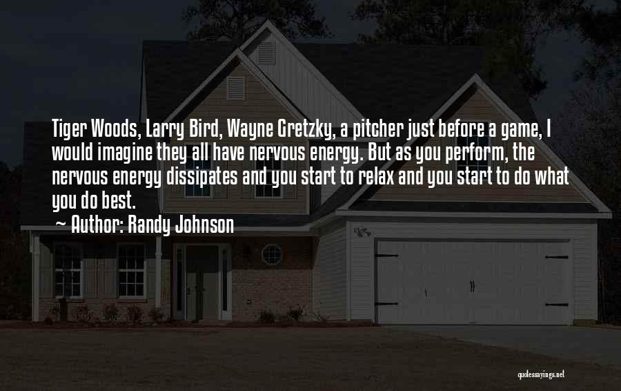 Randy Johnson Quotes: Tiger Woods, Larry Bird, Wayne Gretzky, A Pitcher Just Before A Game, I Would Imagine They All Have Nervous Energy.