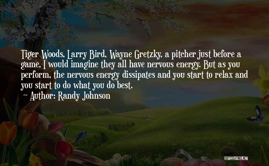 Randy Johnson Quotes: Tiger Woods, Larry Bird, Wayne Gretzky, A Pitcher Just Before A Game, I Would Imagine They All Have Nervous Energy.