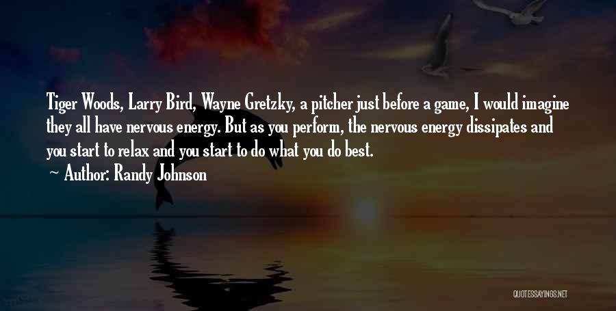 Randy Johnson Quotes: Tiger Woods, Larry Bird, Wayne Gretzky, A Pitcher Just Before A Game, I Would Imagine They All Have Nervous Energy.
