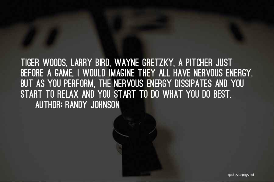 Randy Johnson Quotes: Tiger Woods, Larry Bird, Wayne Gretzky, A Pitcher Just Before A Game, I Would Imagine They All Have Nervous Energy.