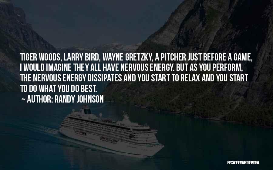 Randy Johnson Quotes: Tiger Woods, Larry Bird, Wayne Gretzky, A Pitcher Just Before A Game, I Would Imagine They All Have Nervous Energy.