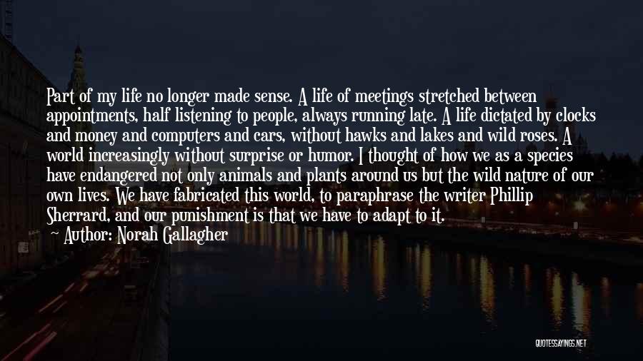 Norah Gallagher Quotes: Part Of My Life No Longer Made Sense. A Life Of Meetings Stretched Between Appointments, Half Listening To People, Always