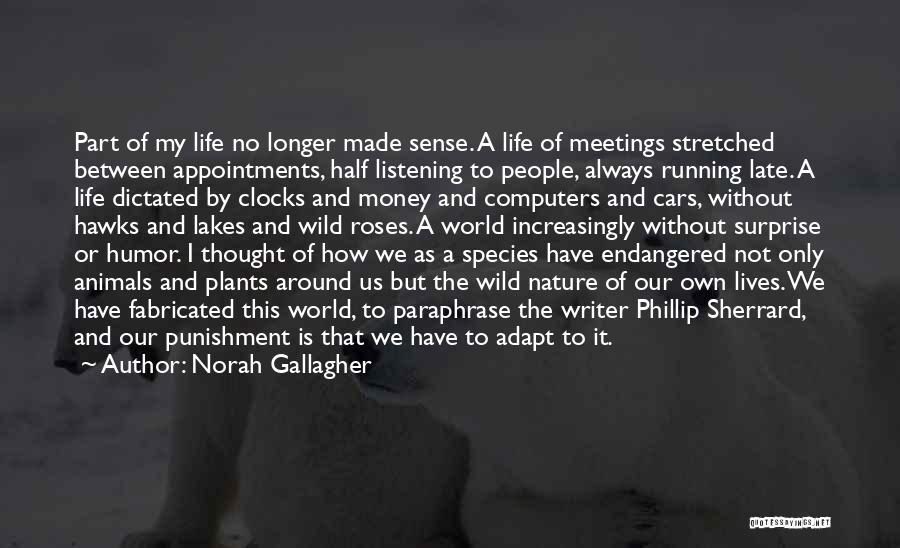Norah Gallagher Quotes: Part Of My Life No Longer Made Sense. A Life Of Meetings Stretched Between Appointments, Half Listening To People, Always