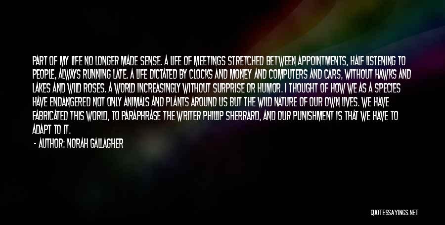 Norah Gallagher Quotes: Part Of My Life No Longer Made Sense. A Life Of Meetings Stretched Between Appointments, Half Listening To People, Always
