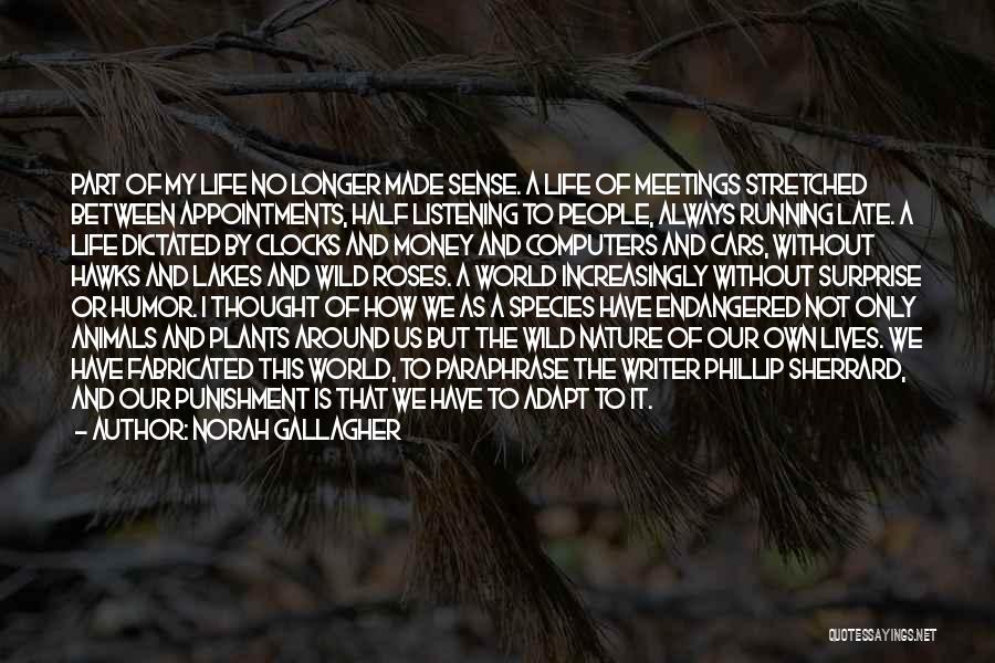 Norah Gallagher Quotes: Part Of My Life No Longer Made Sense. A Life Of Meetings Stretched Between Appointments, Half Listening To People, Always