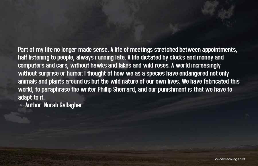 Norah Gallagher Quotes: Part Of My Life No Longer Made Sense. A Life Of Meetings Stretched Between Appointments, Half Listening To People, Always