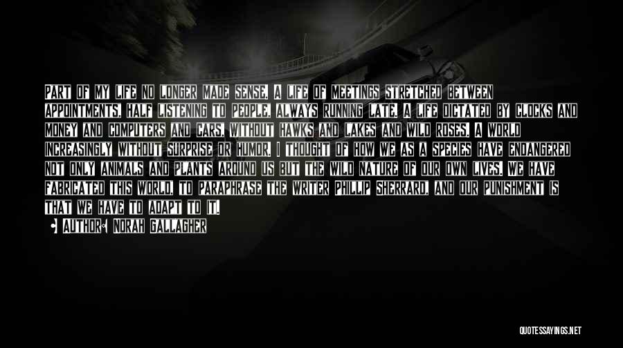Norah Gallagher Quotes: Part Of My Life No Longer Made Sense. A Life Of Meetings Stretched Between Appointments, Half Listening To People, Always