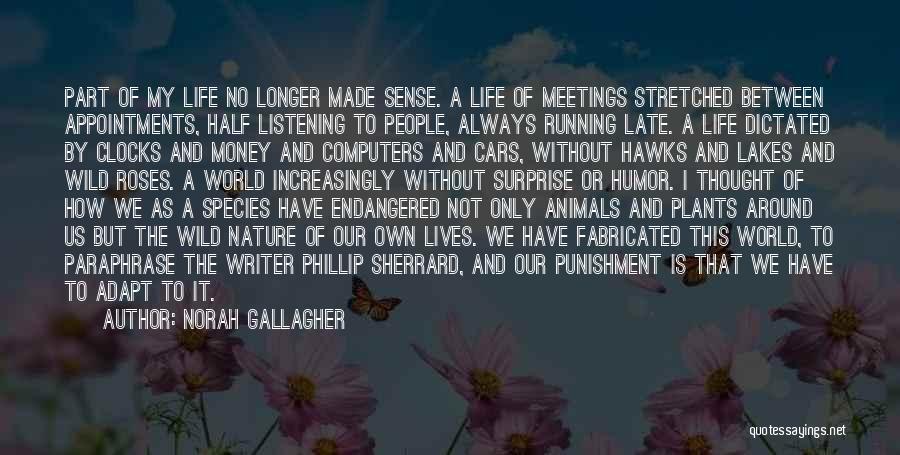 Norah Gallagher Quotes: Part Of My Life No Longer Made Sense. A Life Of Meetings Stretched Between Appointments, Half Listening To People, Always