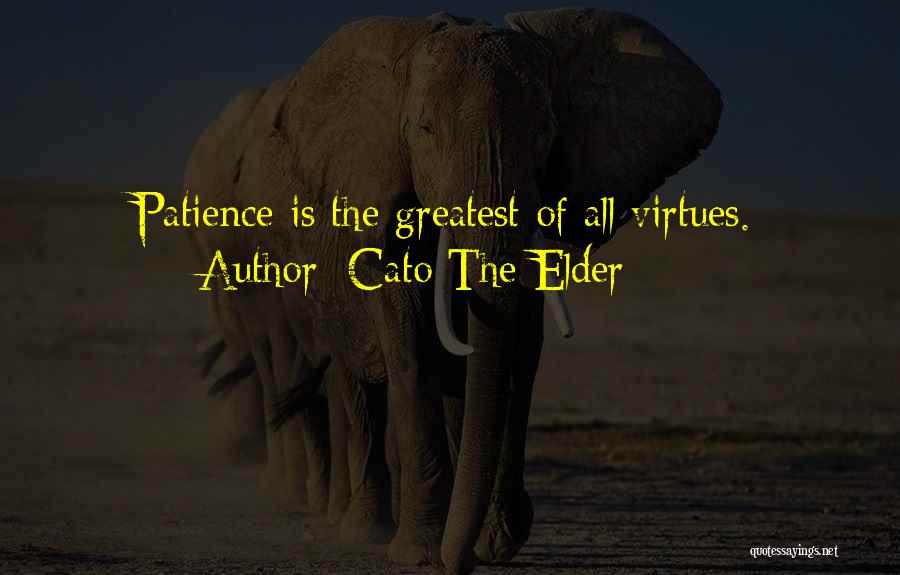 Cato The Elder Quotes: Patience Is The Greatest Of All Virtues.