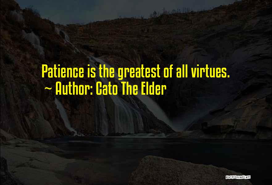 Cato The Elder Quotes: Patience Is The Greatest Of All Virtues.