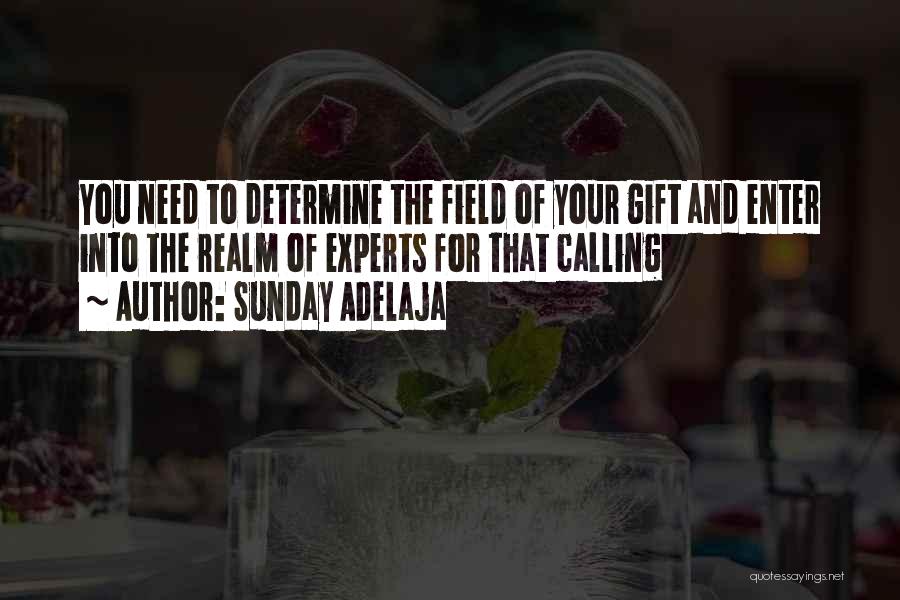 Sunday Adelaja Quotes: You Need To Determine The Field Of Your Gift And Enter Into The Realm Of Experts For That Calling