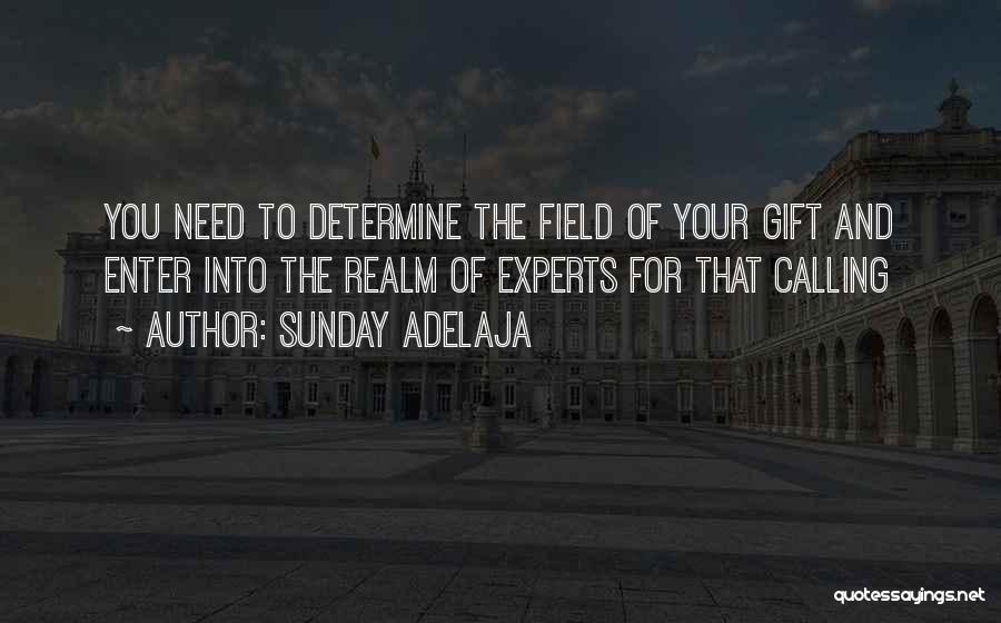 Sunday Adelaja Quotes: You Need To Determine The Field Of Your Gift And Enter Into The Realm Of Experts For That Calling