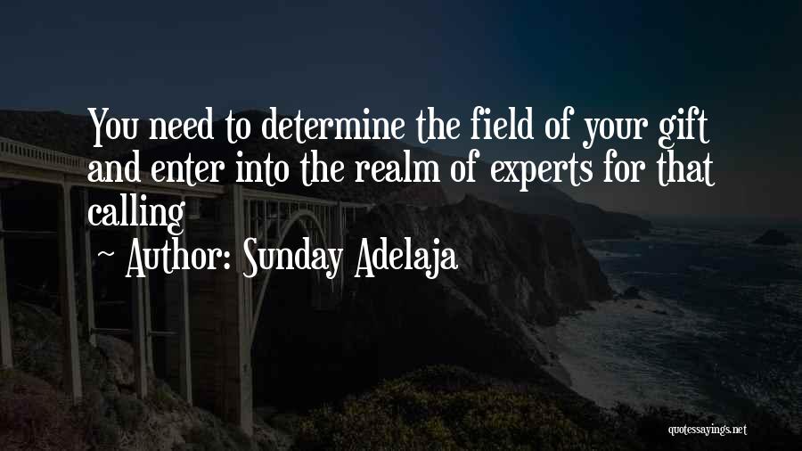 Sunday Adelaja Quotes: You Need To Determine The Field Of Your Gift And Enter Into The Realm Of Experts For That Calling