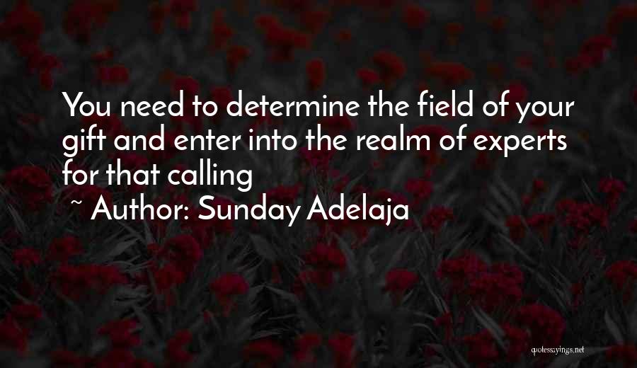 Sunday Adelaja Quotes: You Need To Determine The Field Of Your Gift And Enter Into The Realm Of Experts For That Calling