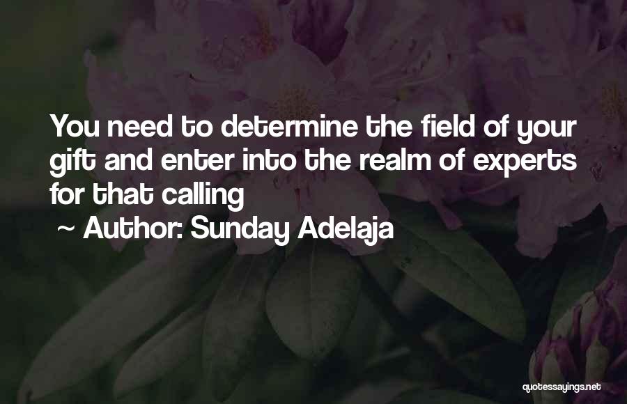 Sunday Adelaja Quotes: You Need To Determine The Field Of Your Gift And Enter Into The Realm Of Experts For That Calling