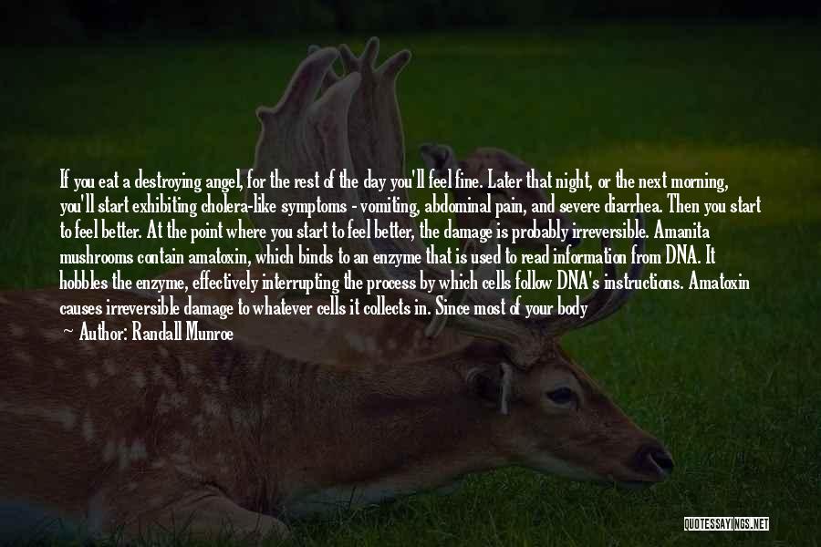 Randall Munroe Quotes: If You Eat A Destroying Angel, For The Rest Of The Day You'll Feel Fine. Later That Night, Or The