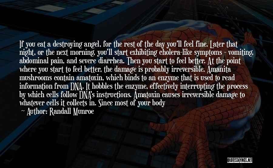 Randall Munroe Quotes: If You Eat A Destroying Angel, For The Rest Of The Day You'll Feel Fine. Later That Night, Or The