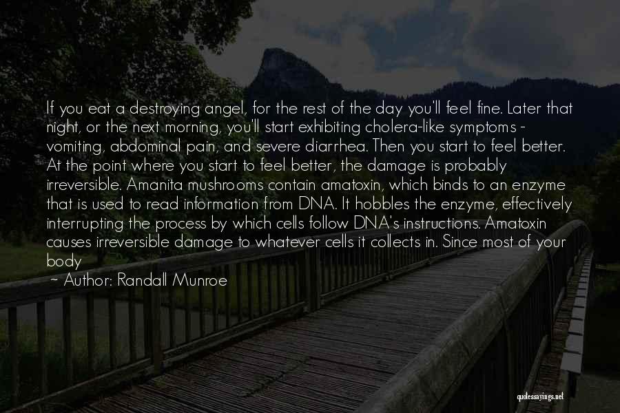 Randall Munroe Quotes: If You Eat A Destroying Angel, For The Rest Of The Day You'll Feel Fine. Later That Night, Or The