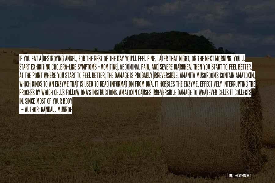 Randall Munroe Quotes: If You Eat A Destroying Angel, For The Rest Of The Day You'll Feel Fine. Later That Night, Or The