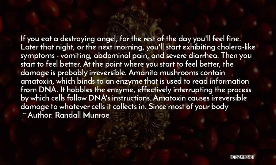 Randall Munroe Quotes: If You Eat A Destroying Angel, For The Rest Of The Day You'll Feel Fine. Later That Night, Or The