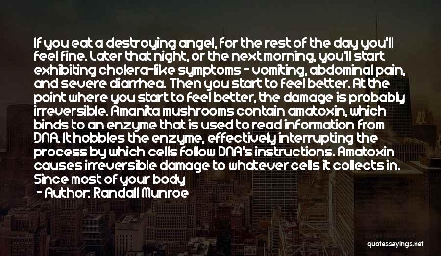 Randall Munroe Quotes: If You Eat A Destroying Angel, For The Rest Of The Day You'll Feel Fine. Later That Night, Or The