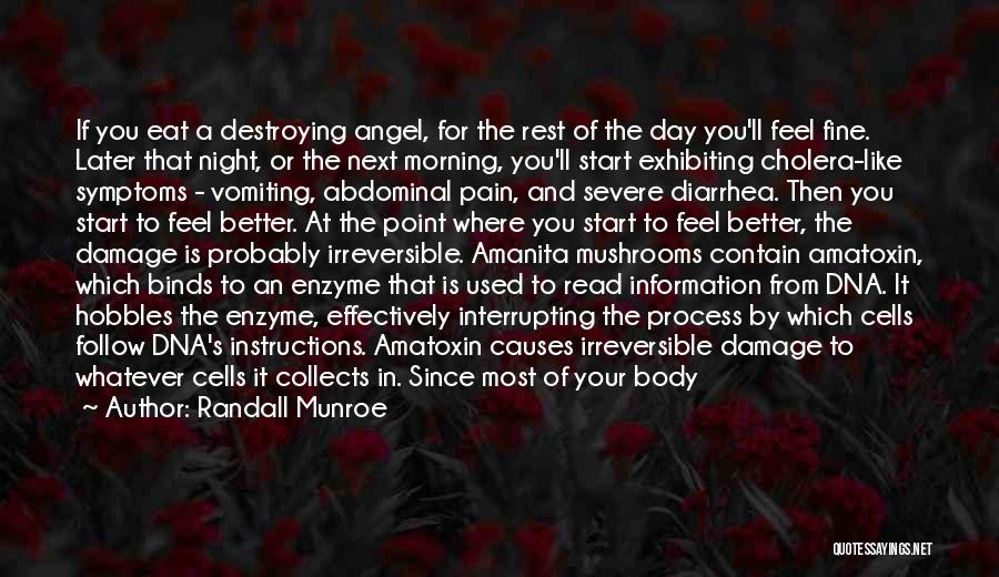 Randall Munroe Quotes: If You Eat A Destroying Angel, For The Rest Of The Day You'll Feel Fine. Later That Night, Or The